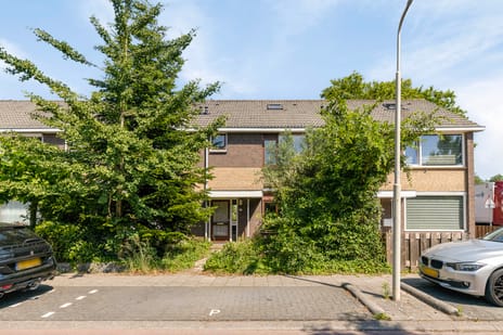 undefined main image