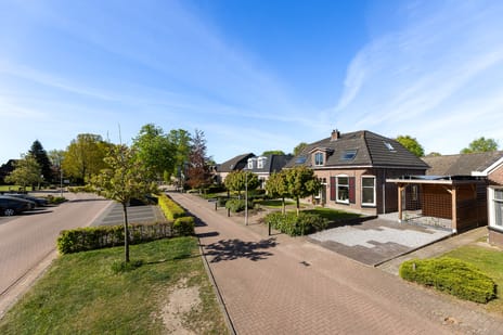 Boerhaar 10 tertiary image