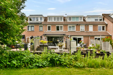 undefined main image
