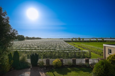 Afbeelding van Rooijsestraat 34-a - Derde foto