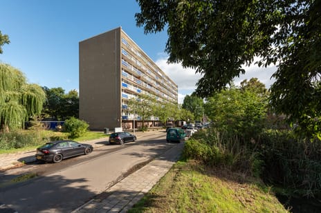 Wiekslag 83 main image