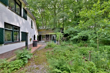 Holleweg 2 tertiary image
