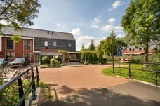 Afbeelding van Lisdodde 6 - Tweede foto