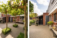 Afbeelding van Lisdodde 6 - Derde foto
