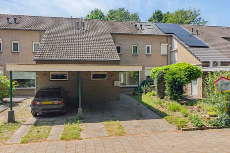 undefined main image