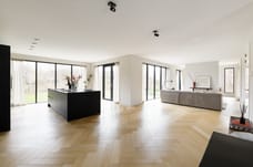 Image of Grote Lijster 1 - Third image