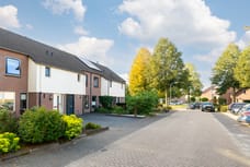 Afbeelding van Ekster 31 - Derde foto