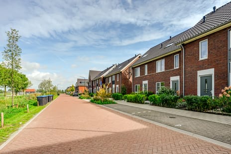 Afbeelding van Kempenaar 19 - Tweede foto