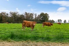 Afbeelding van Tussenziel 3 - Derde foto