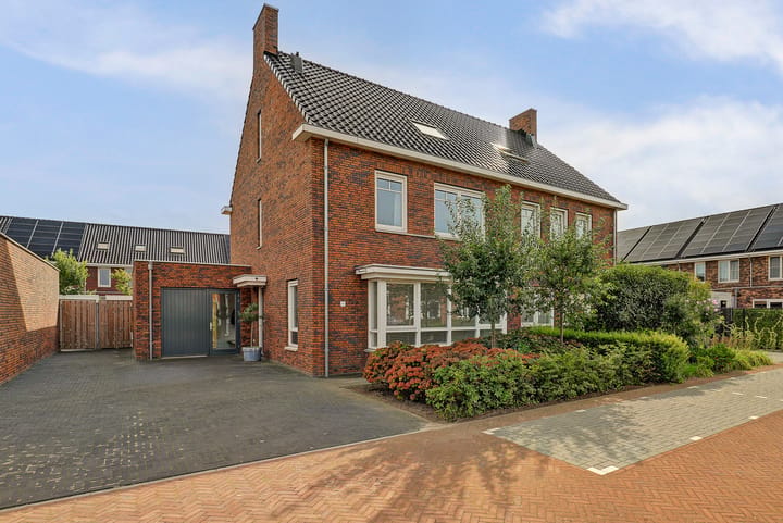 Dick van Tussenbroekhof 6 main image