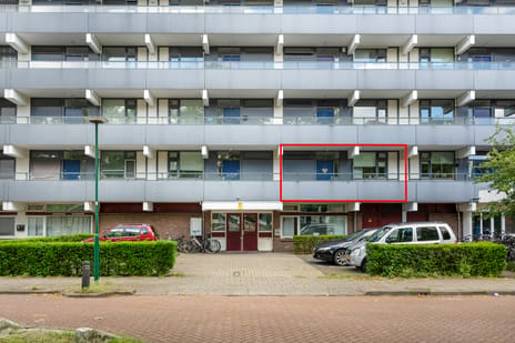 undefined main image