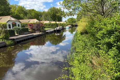 Afbeelding van Eysinga-State 204 - Derde foto