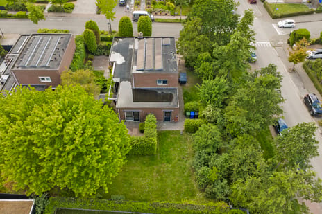 Buizerd 2 secondary image
