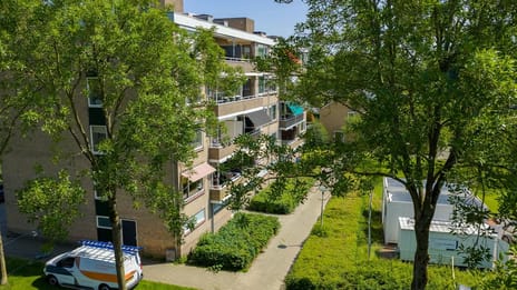 J.J. van Deinselaan 360 main image