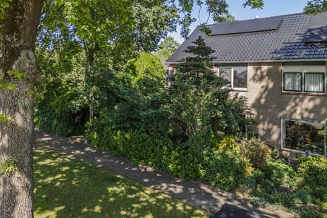 Berkenlaan 25 tertiary image