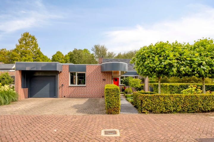Wildenborg 79 main image