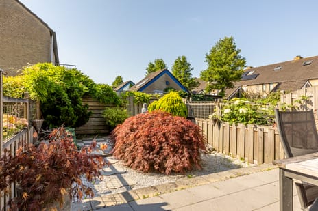 Boerhaavelaan 24 tertiary image