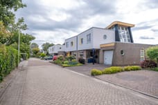 Afbeelding van Weegbree 19 - Derde foto