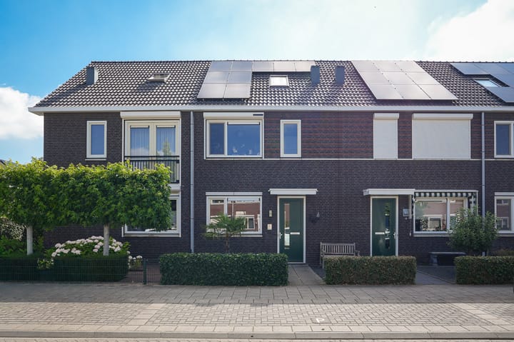 Aardbeivlinder 43 main image