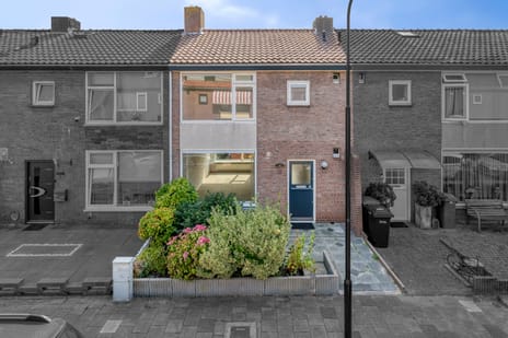 undefined main image