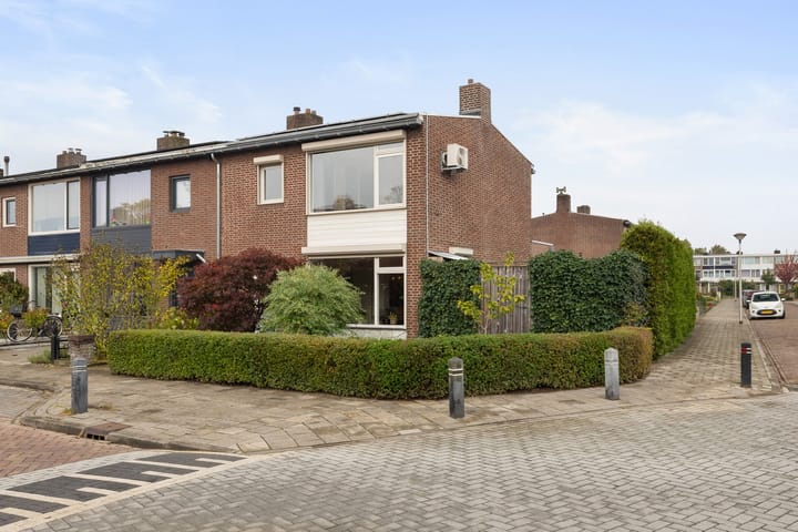 Wolbergstraat 37 main image