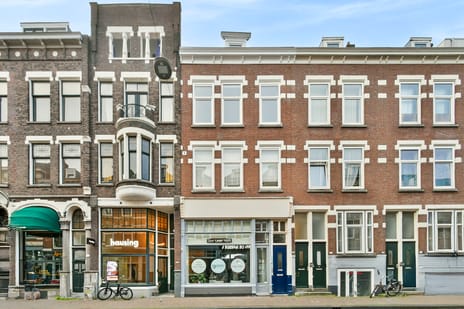 Zwaanshals 266-B02 main image