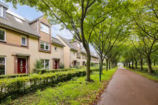 Afbeelding van Bladmos 50 - Derde foto