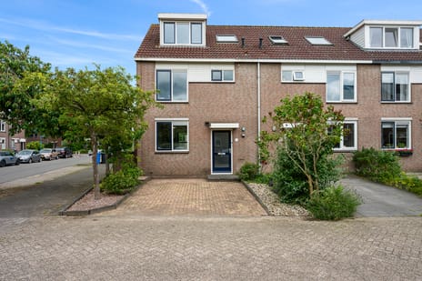 undefined main image