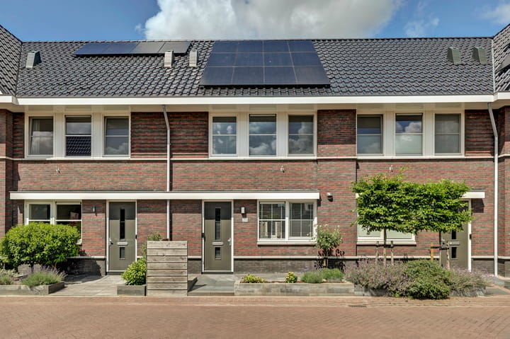 Duist 20 main image