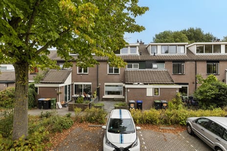 Rozeboom 25 main image