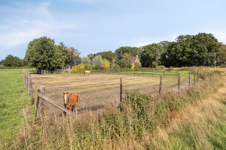Afbeelding van Broekdijk 29 - Derde foto