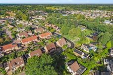 Afbeelding van Speenkruid 22 - Tweede foto