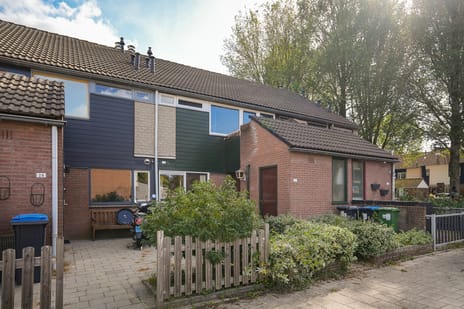Lieshoutstraat 26 main image