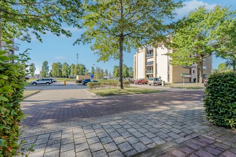 Image of Ferdinand Bolstraat 6 - Third image