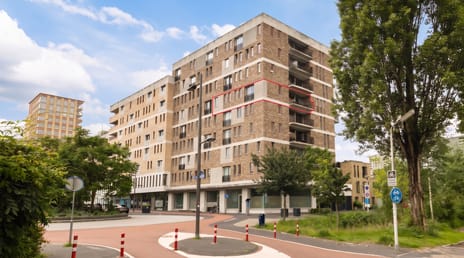 undefined main image