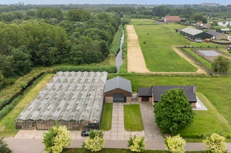 Kijfhoek 41 secondary image