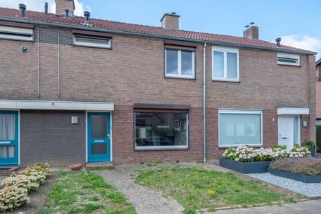 undefined main image