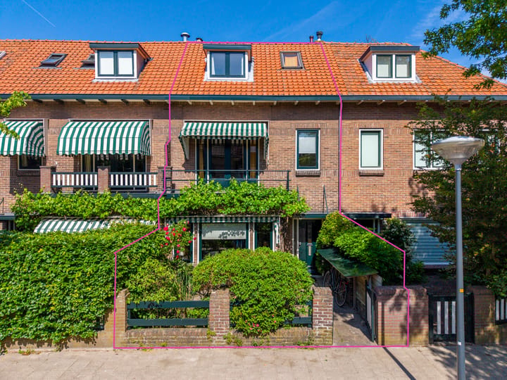 Johan de Wittstraat 38 main image
