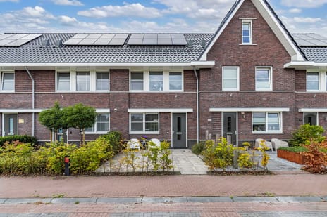 Sleutelbloem 102 main image