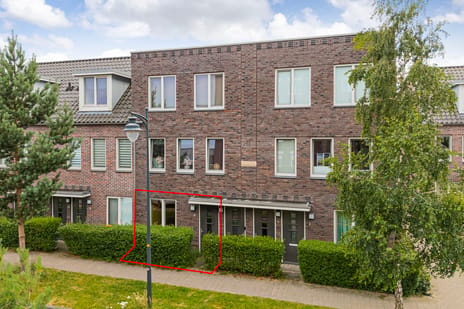 undefined main image