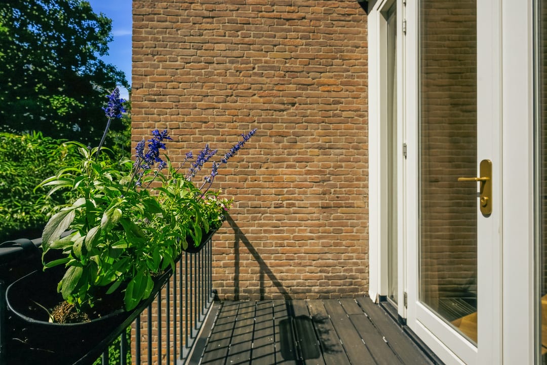 House Exterior
