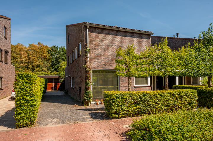 Zondaghof 36 main image
