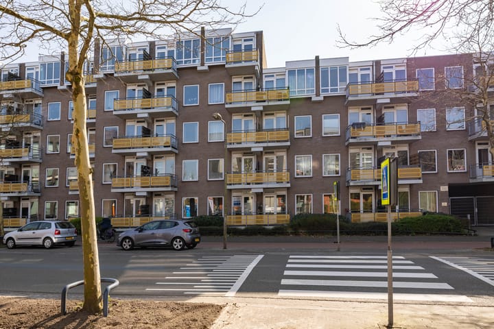 Zuidvliet 480 main image