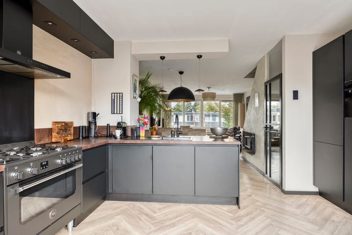 Zilverdistel 13 main image