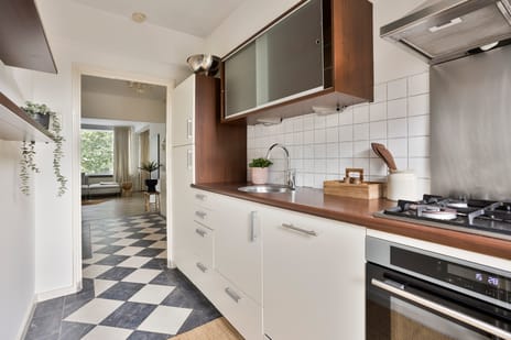 Van Lawick van Pabststraat 107-1 tertiary image