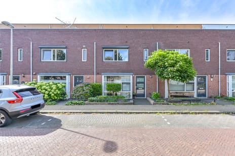 undefined main image