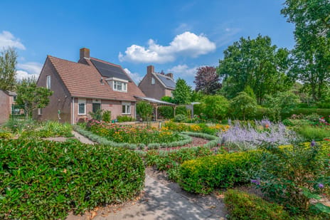 Afbeelding van Haver 21 - Derde foto