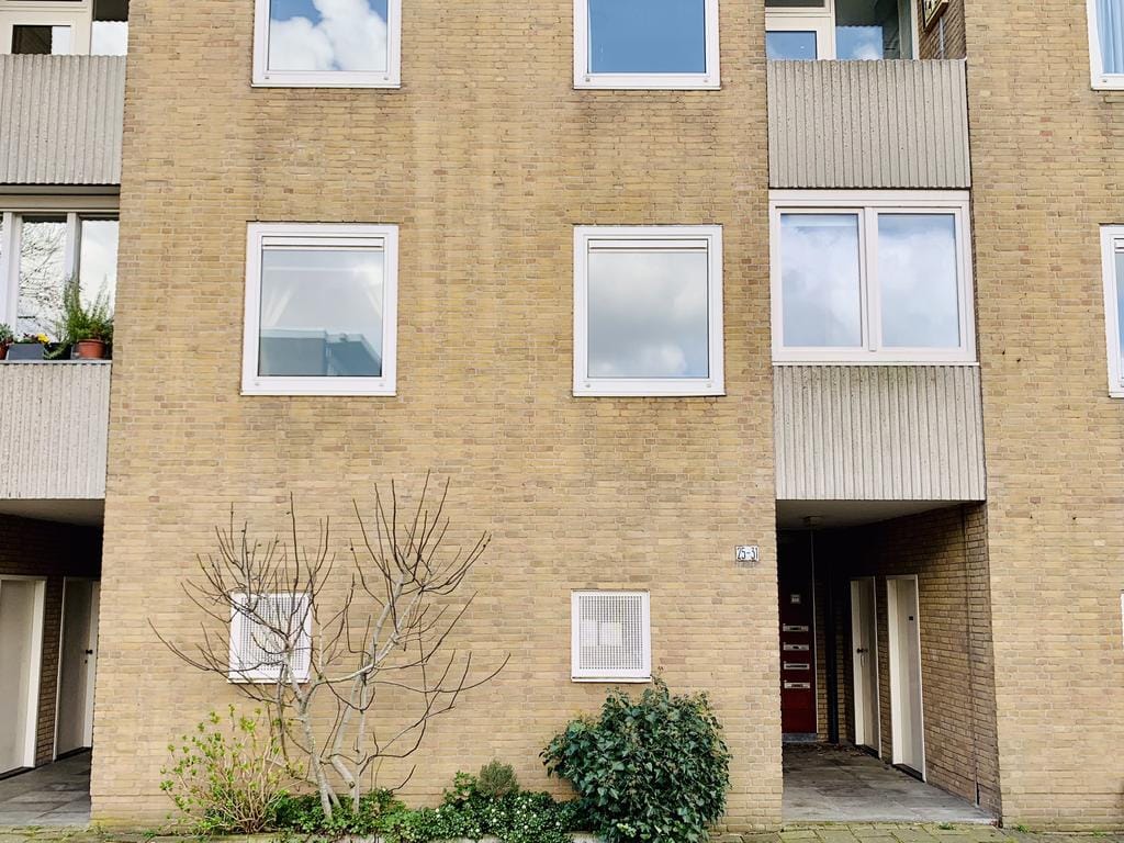 House Image 2