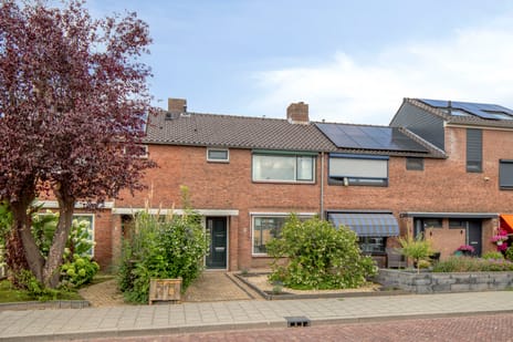 undefined main image