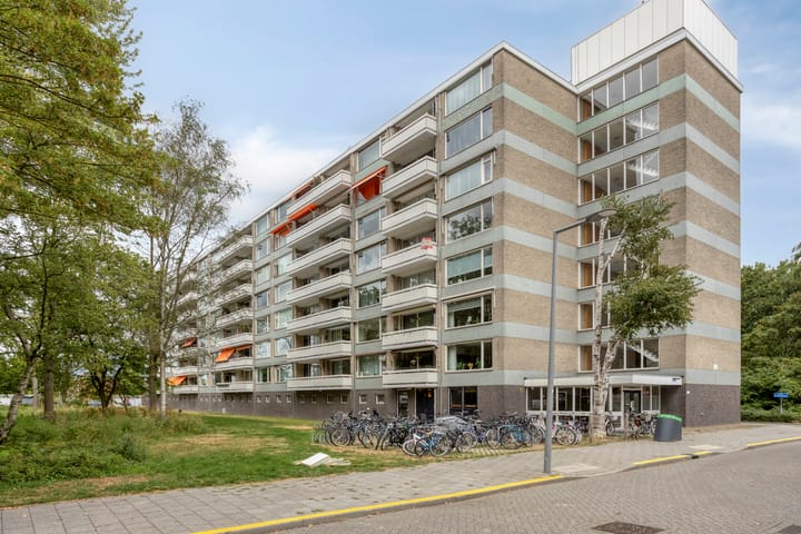 Everaertstraat 55 main image